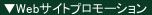 WebTCgv[VEvf[XE쎖Ȃ