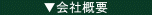 ЊTv